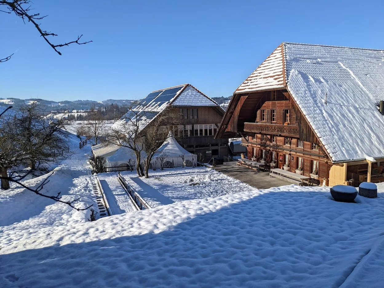 Stilvoller Winter-Apéro im Haflinger Zentrum