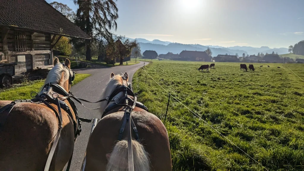 Emmentaler Landschaft und Pferde